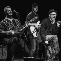 Max Shelly Band